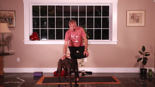 Chakas Day 4:: 2nd Chakra