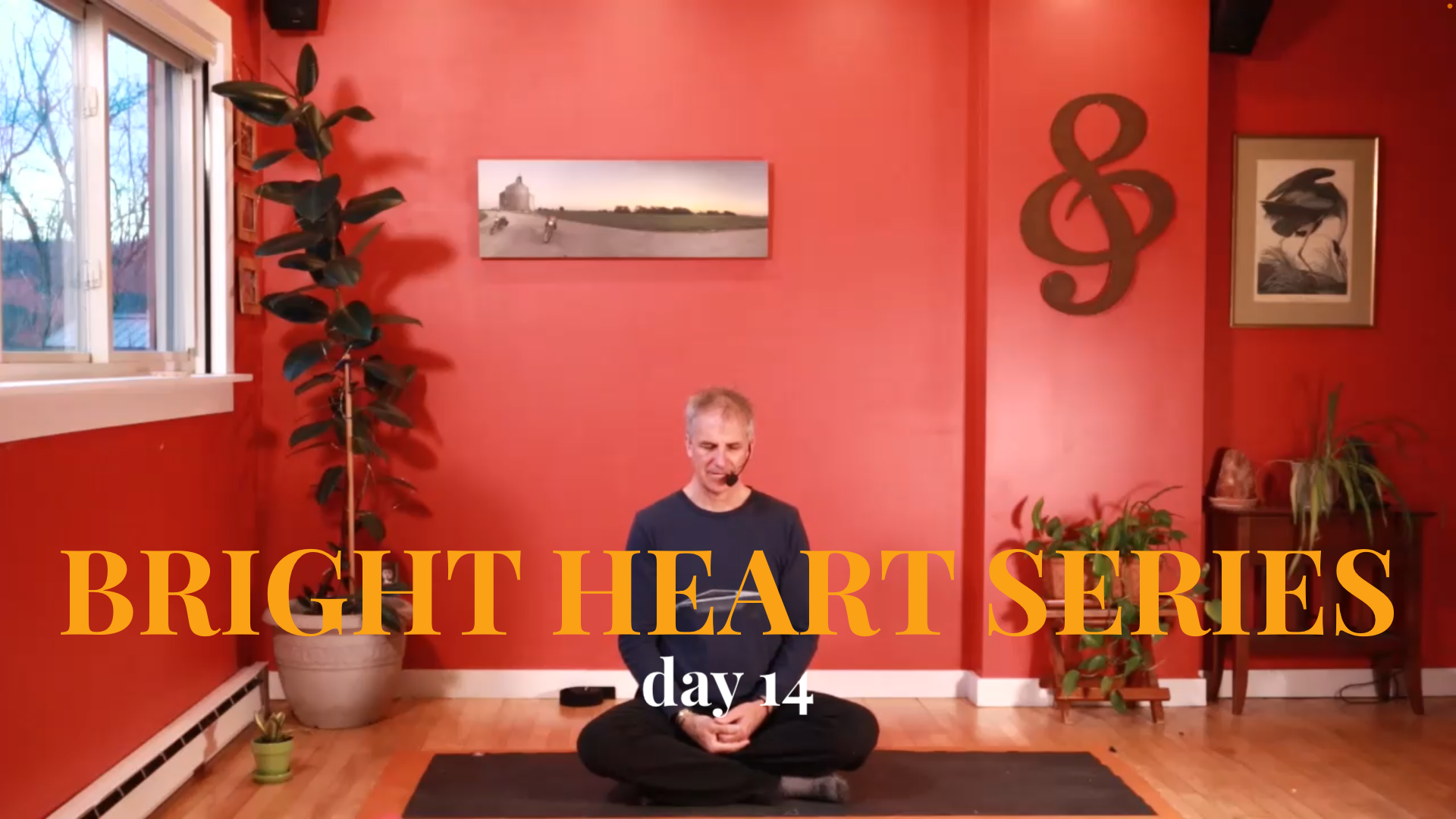 Bright Heart Series - Day 14