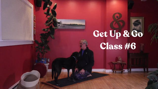 Get Up & Go : February - Class #6