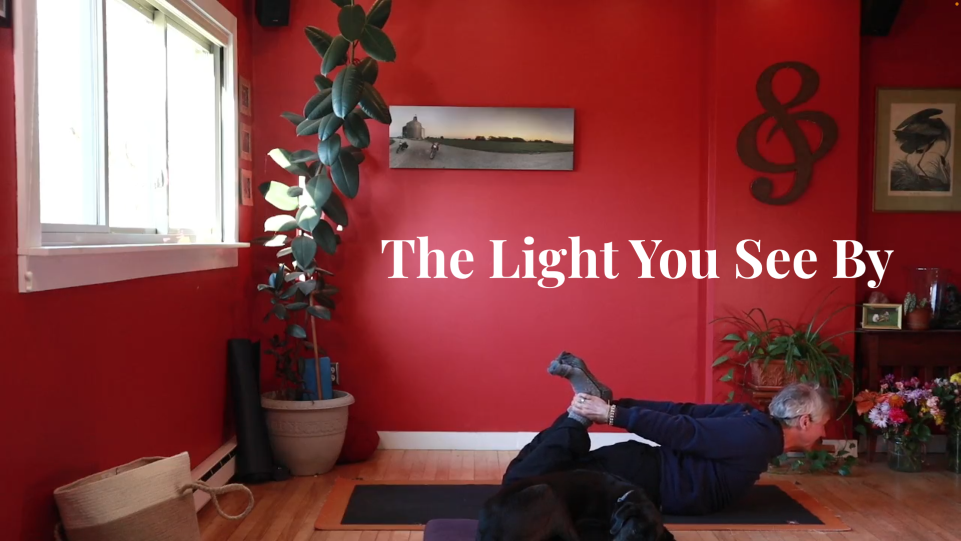 The Light That You See By