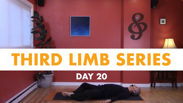 Third Limb Series - Day 20
