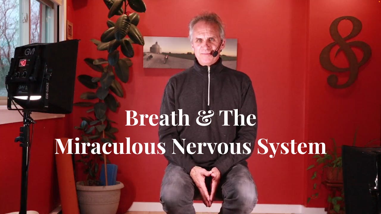 Breath & The Miraculous Nervous System