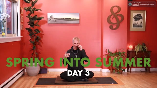 Spring Into Summer - Day 3