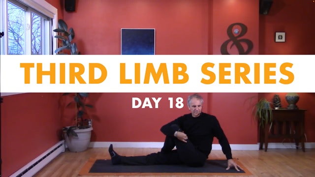 Third Limb Series - Day 18
