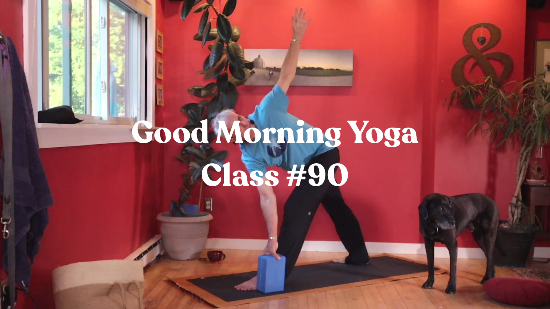 Good Morning Yoga - Class #90