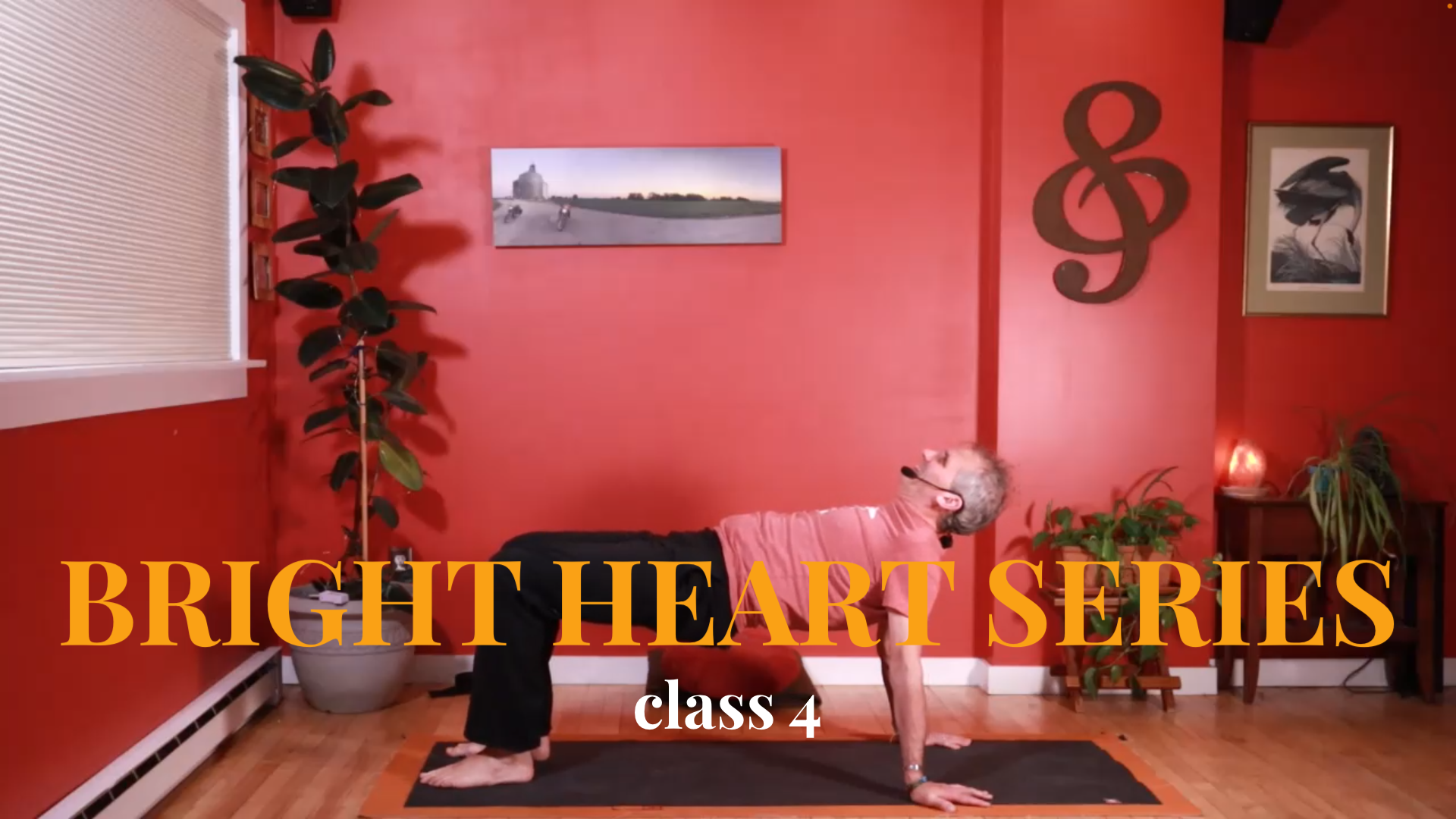 Bright Heart Series - Class 4