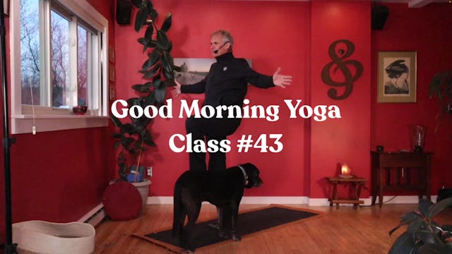 Good Morning Yoga - Class #43