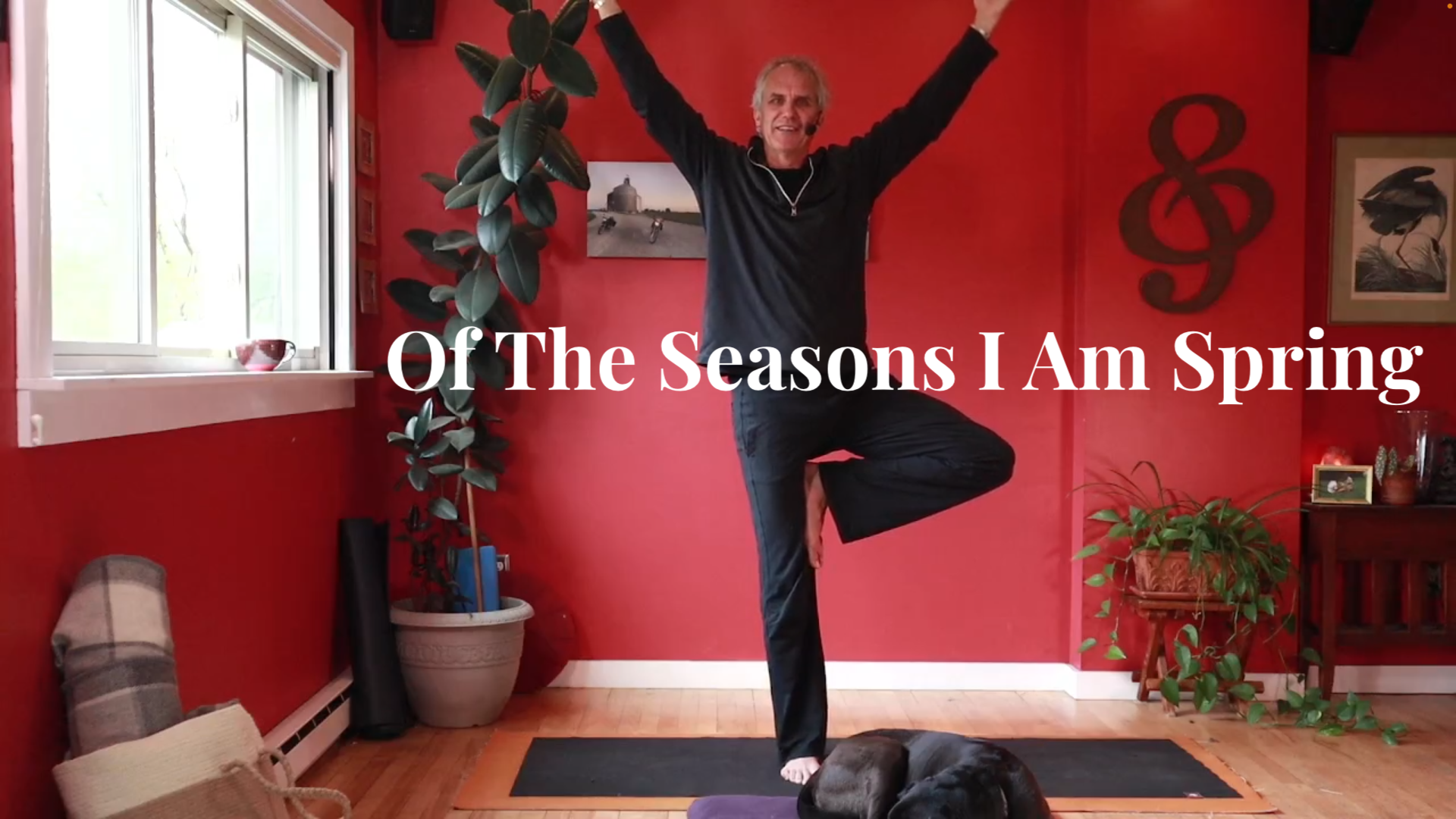 Of The Seasons I Am Spring