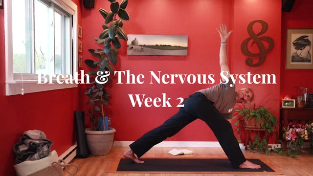 Breath & The Nervous System -- Week 2