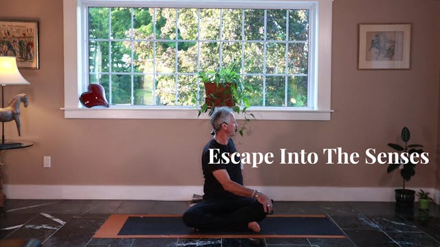 Escape Into The Senses