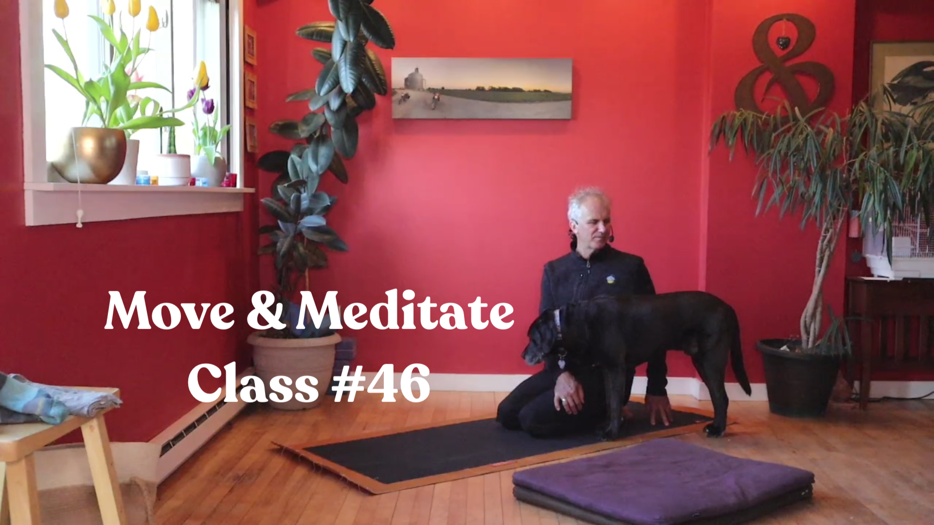 Move & Meditate - Class #46