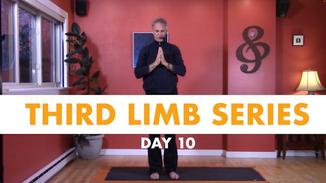 Third Limb Series - Day 10