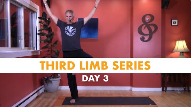 Third Limb Series - Day 3