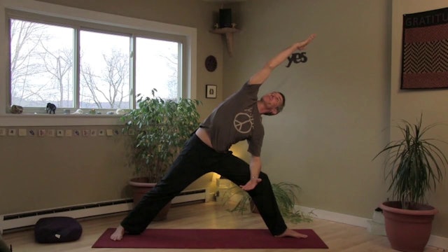 Yoga - Theory and Practice...Free Yoga Class from John McConnell Yoga