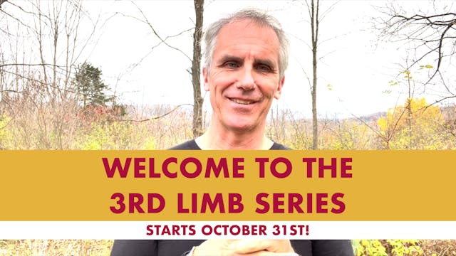 Welcome to the Third Limb Series