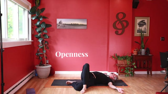Openness