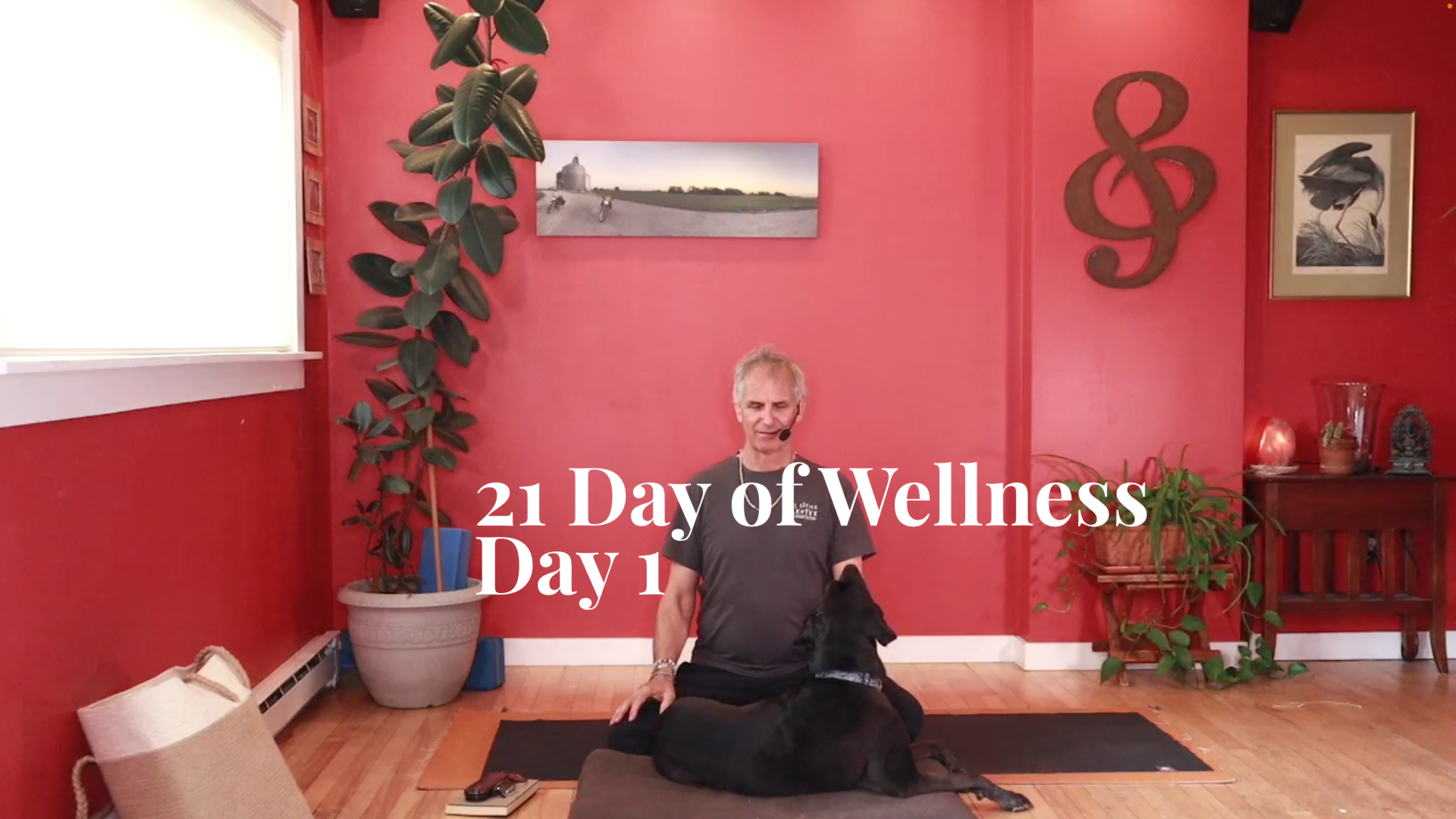 21 Days of Wellness - Day 1