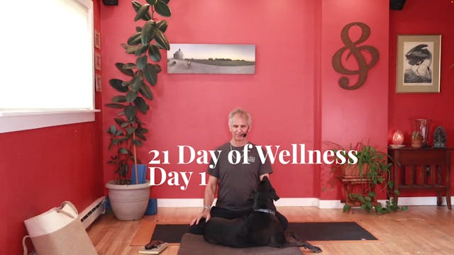 21 Days of Wellness - Day 1