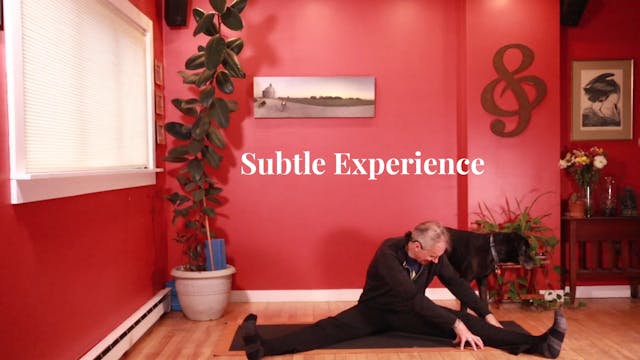 Subtle Experience