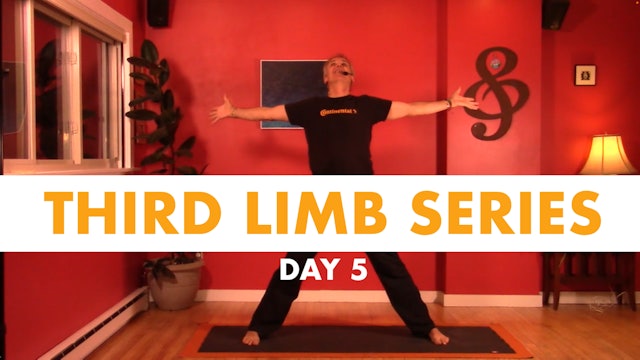 Third Limb Series - Day 5
