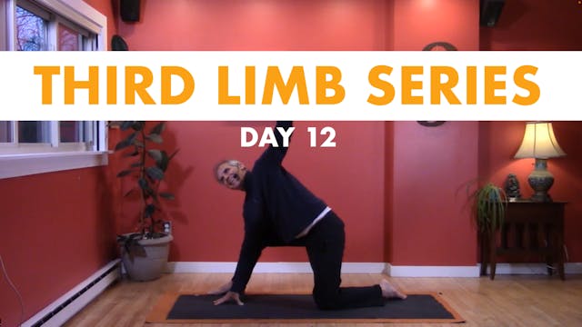Third Limb Series - Day 12