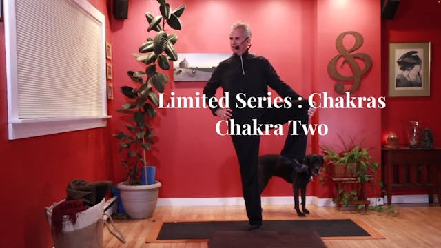 Limited Series :: Chakras - Chakra Two