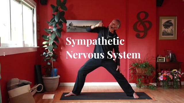 Sympathetic Nervous System