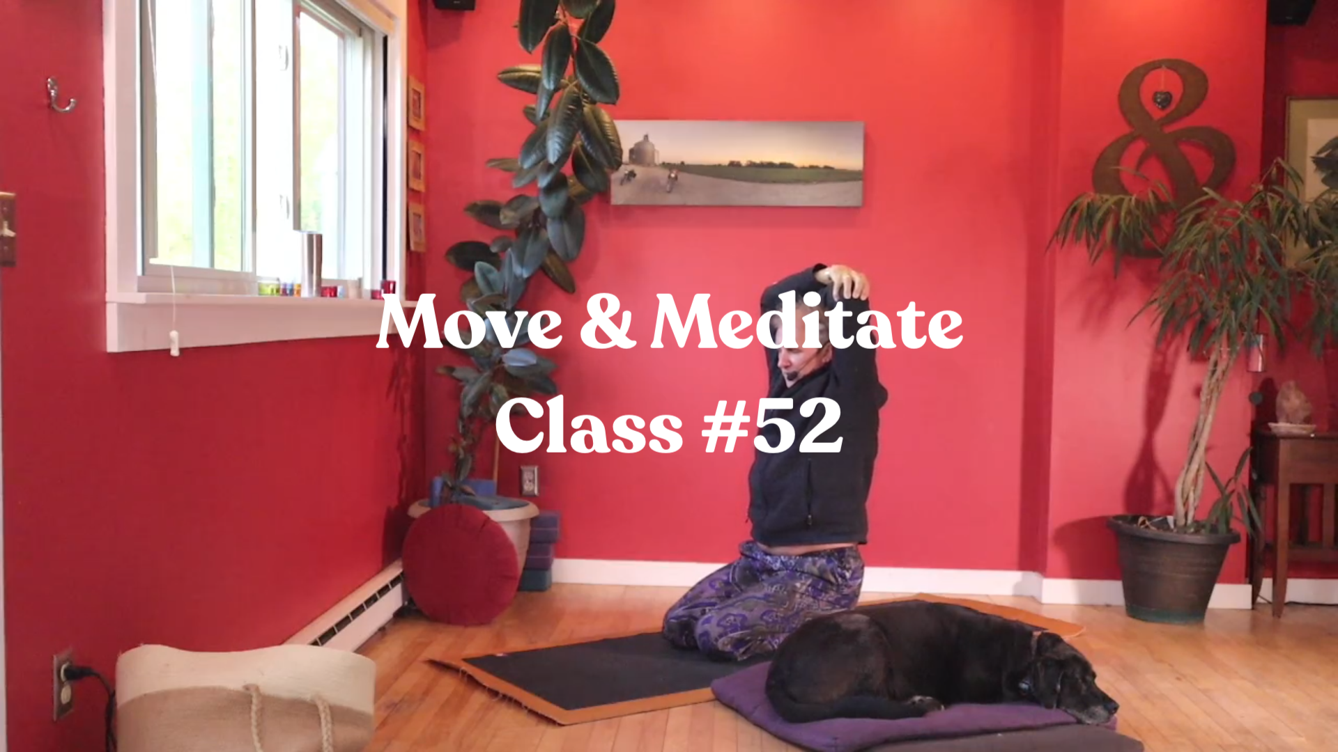 Move & Meditate - Class #52