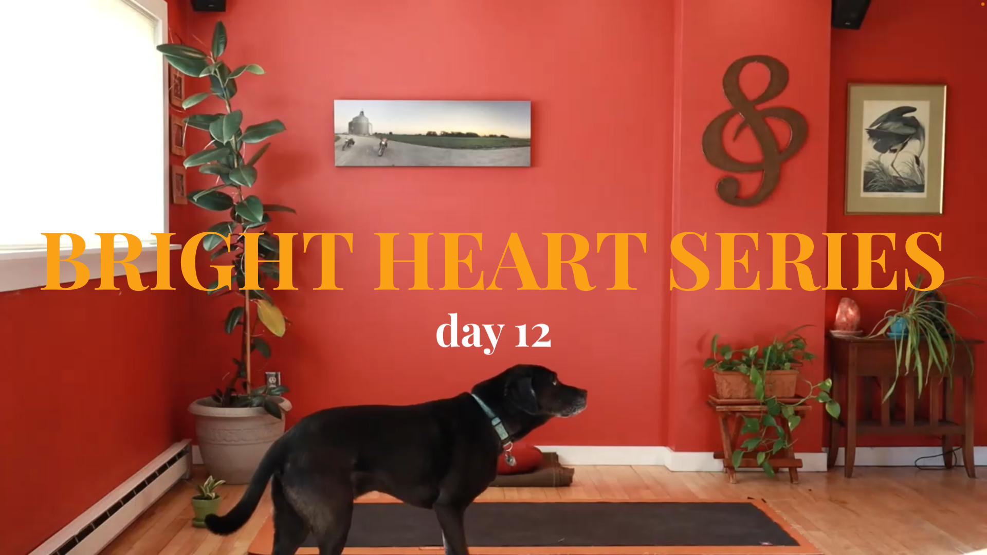 Bright Heart Series - Day 12