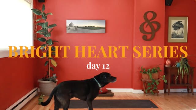 Bright Heart Series - Day 12