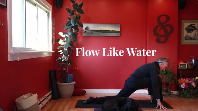 Flow Like Water