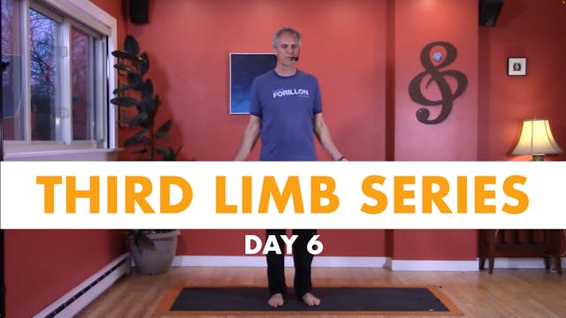 Third Limb Series - Day 6