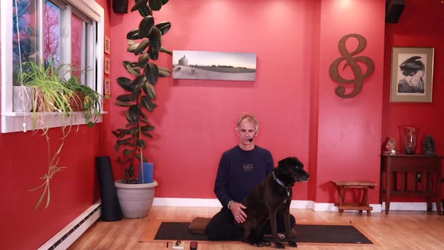 21 Day Holiday Helper Wellness Series :: Day 16