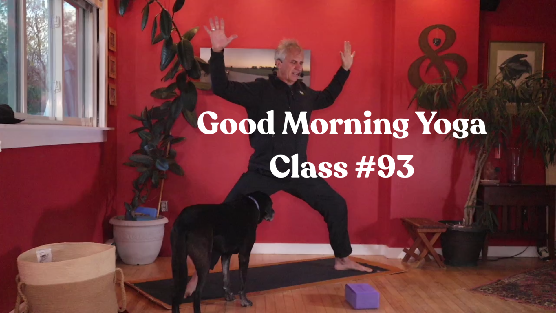 Good Morning Yoga - Class #93