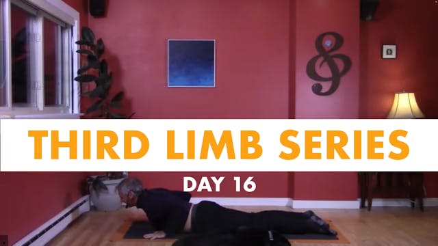 Third Limb Series - Day 16