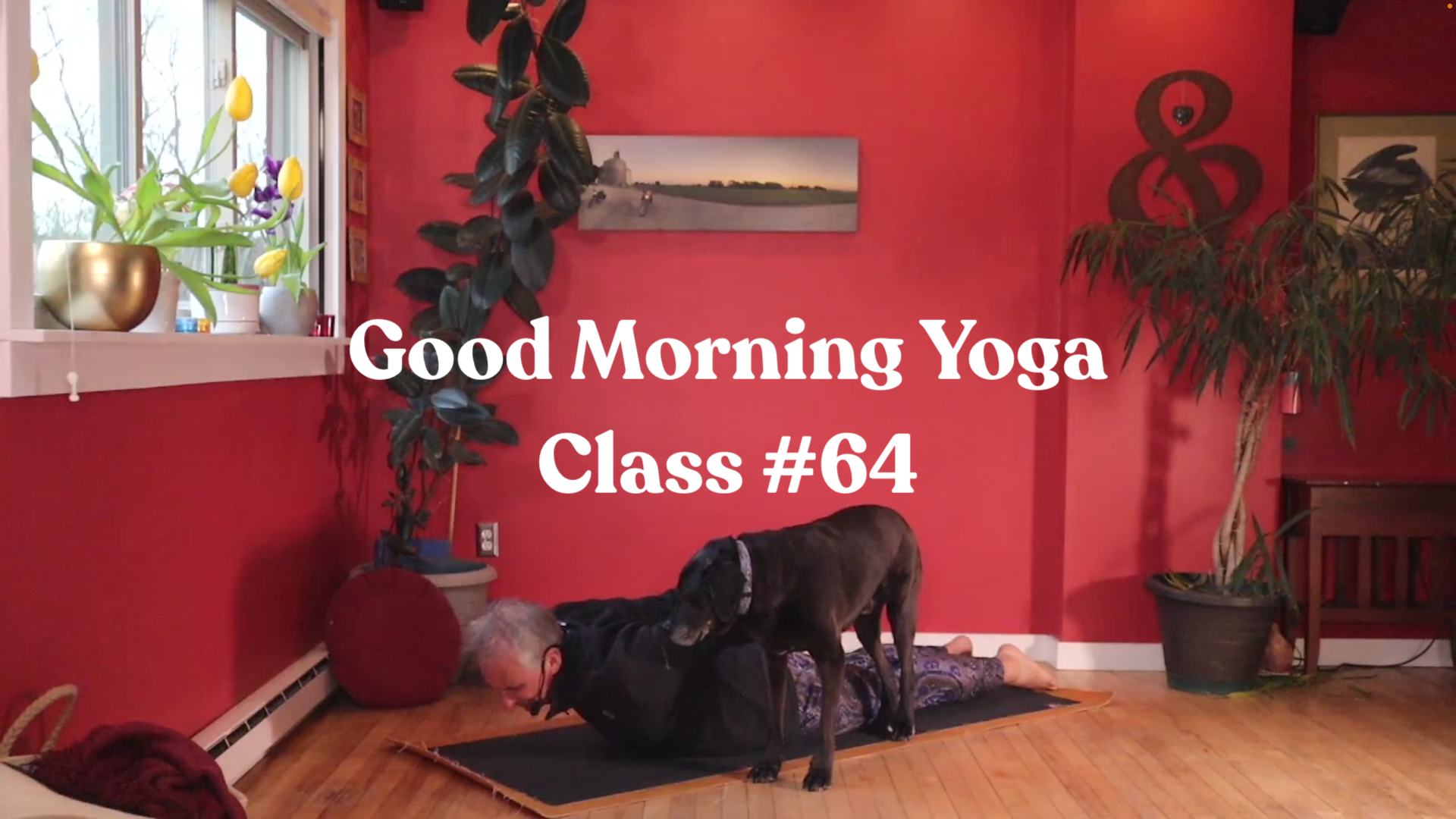 Good Morning Yoga - Class #64