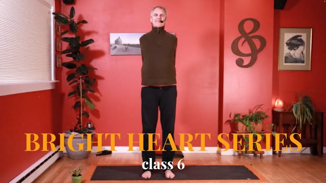 Bright Heart Series - Class 6