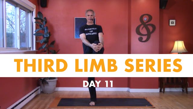 Third Limb Series - Day 11
