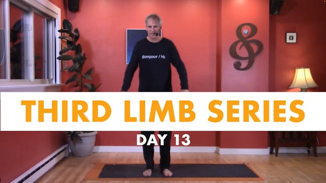 Third Limb Series - Day 13