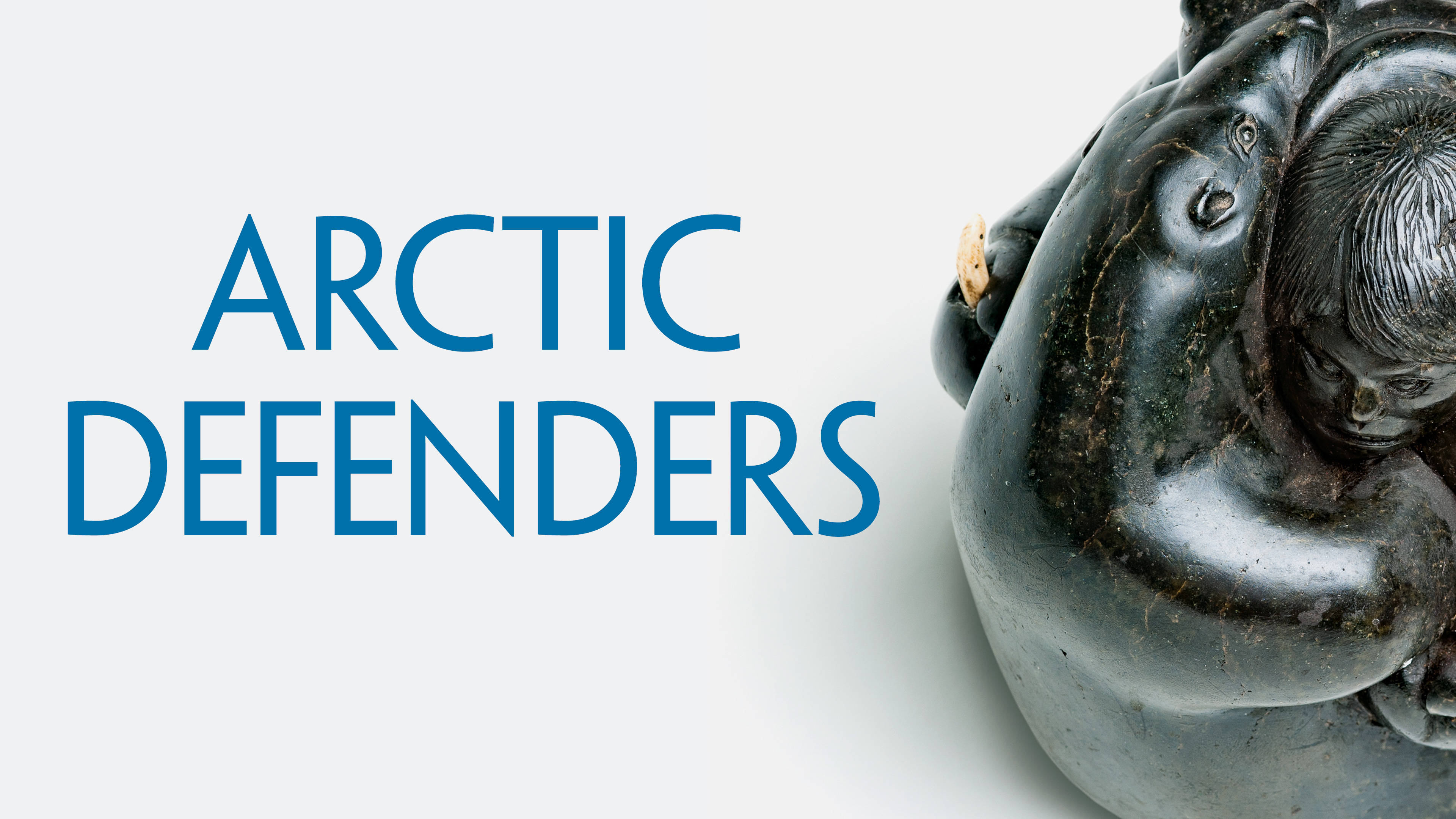 Arctic Defenders