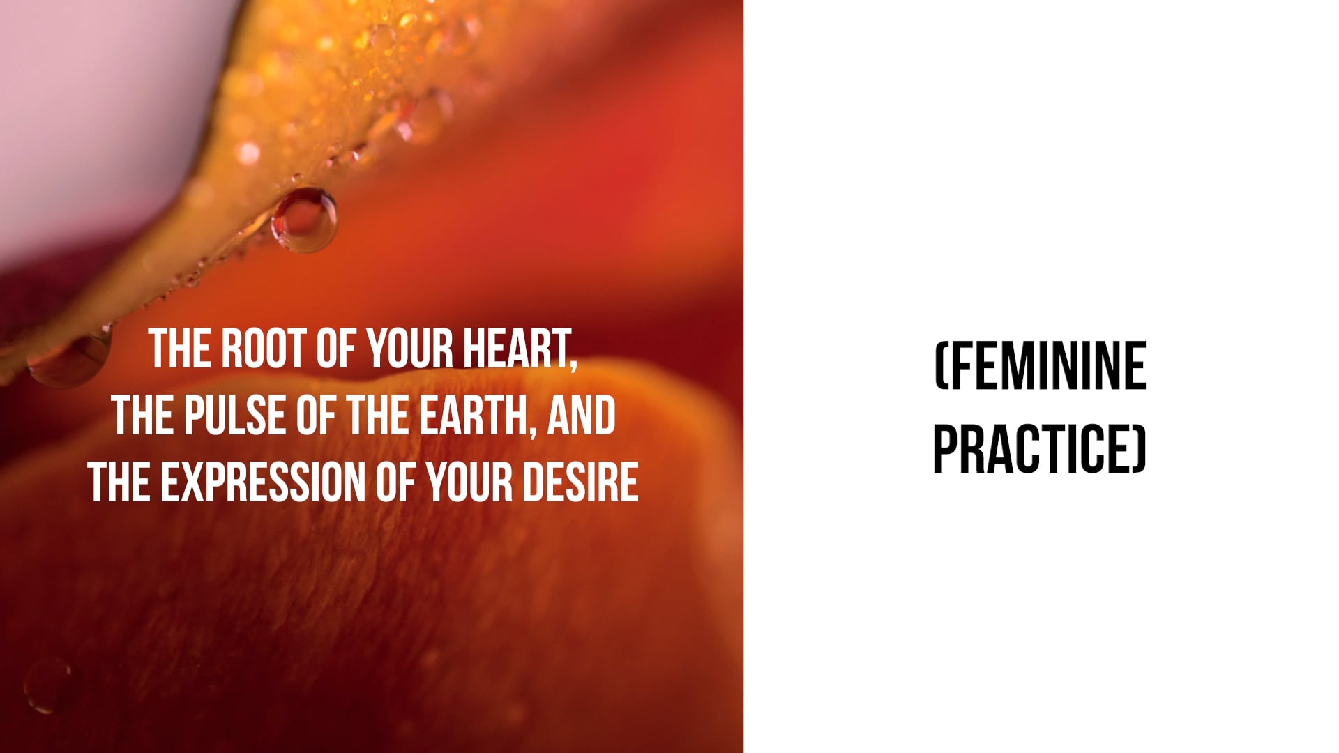 The Root of Your Heart, The Pulse of the Earth, & The Expression of Your Desire