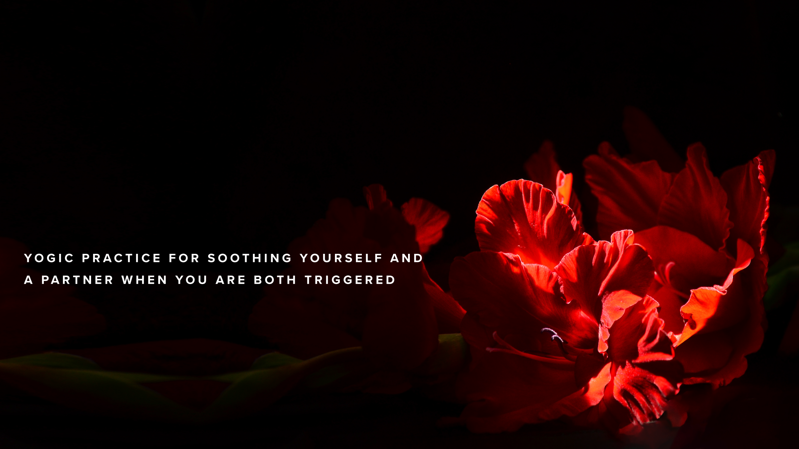 Teaching-Yogic practice for soothing you and your partner when you are triggered