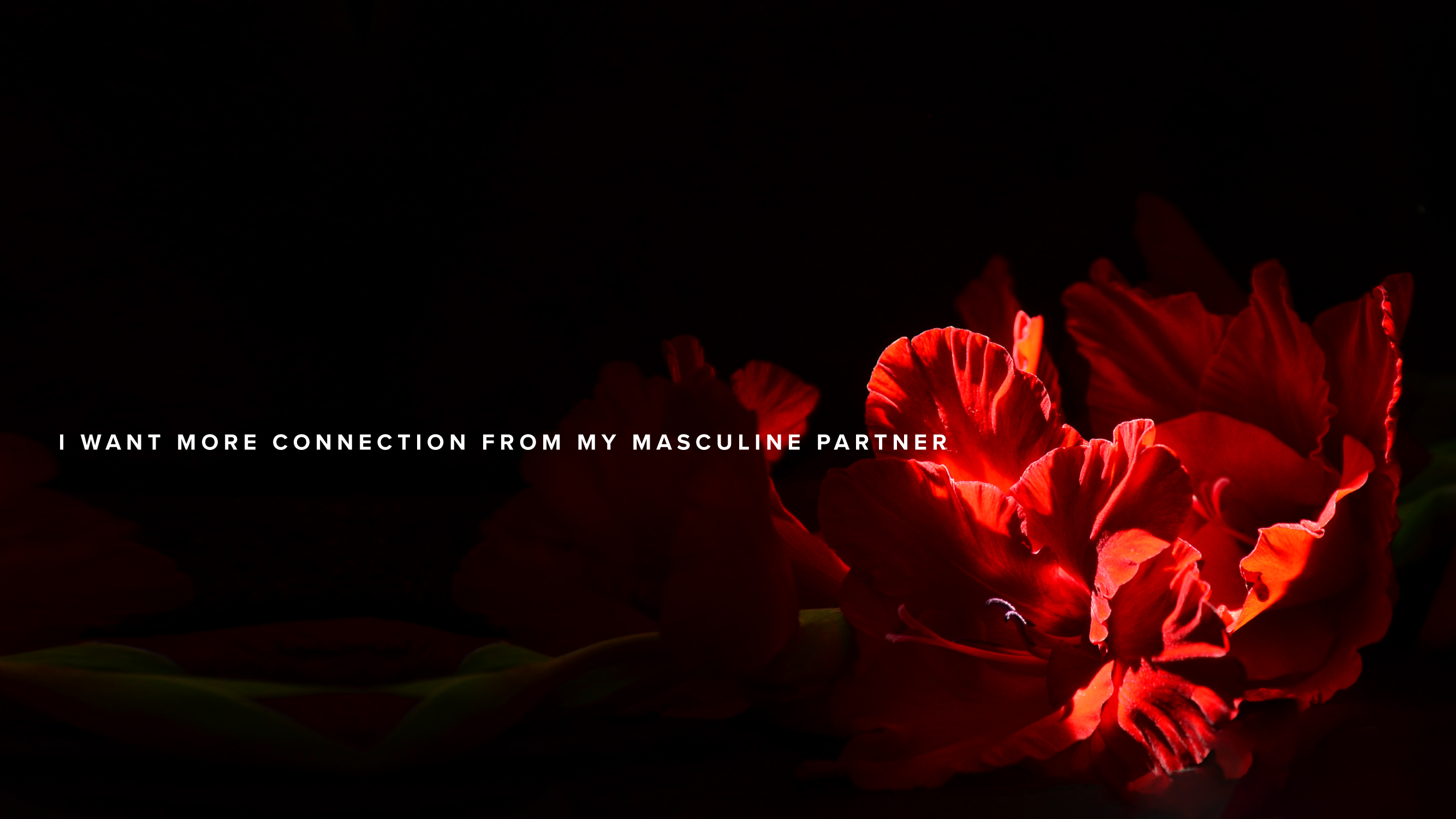 Teaching - I want more connection from my masculine partner