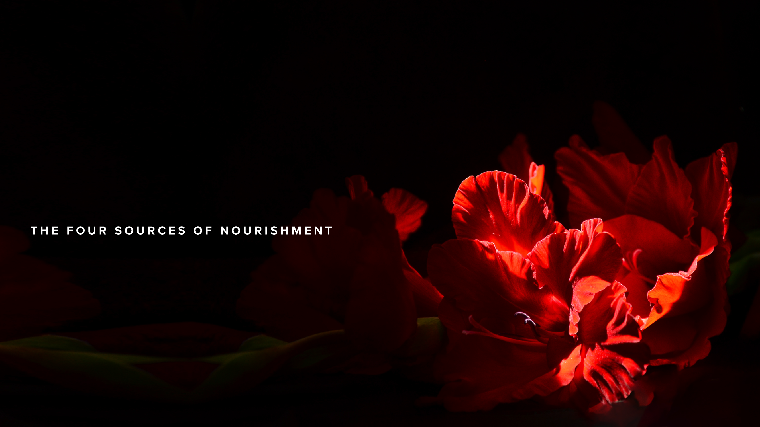 The Four Sources of Nourishment