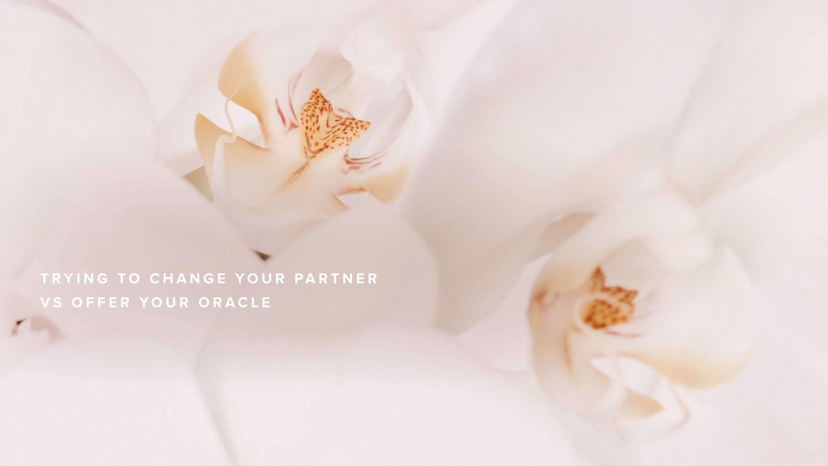 Trying to Change Your Partner vs Offer Your Oracle 