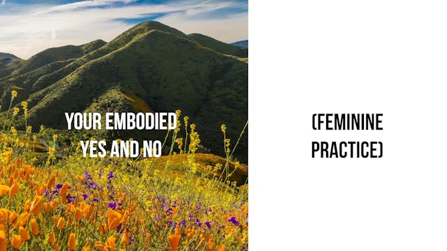 Your Embodied Yes and No