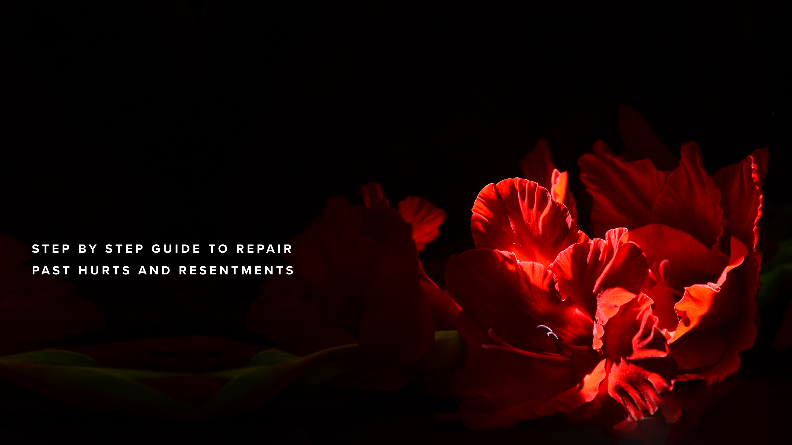 Teaching - Step by step guide to repair past hurts and resentments