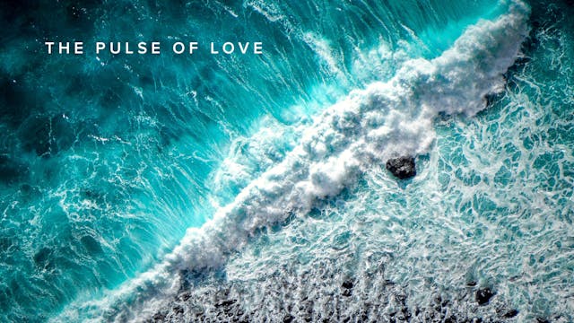 Practice - The Pulse of Love