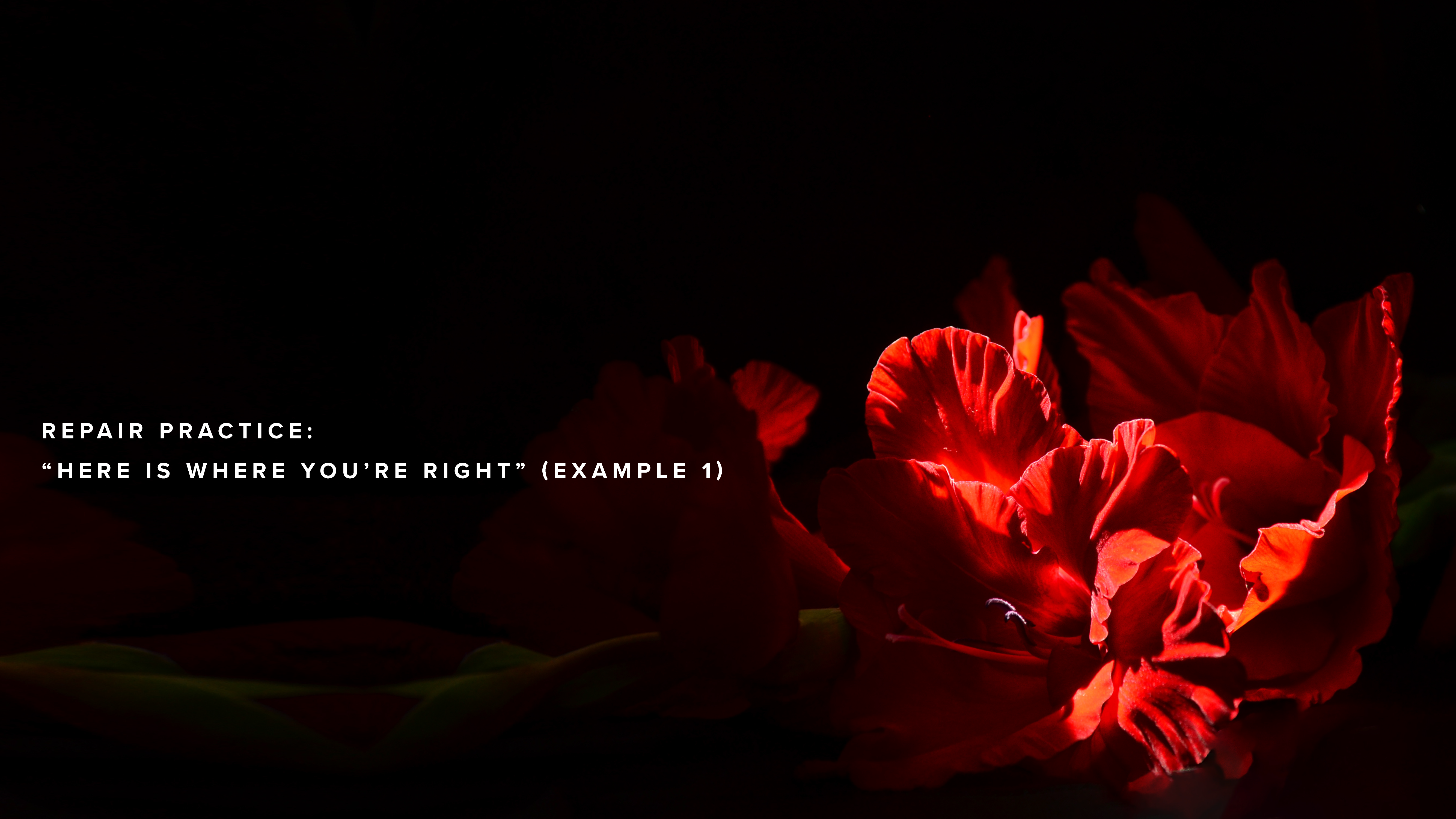 Repair Practice: “Here is where you’re right” (example 1)