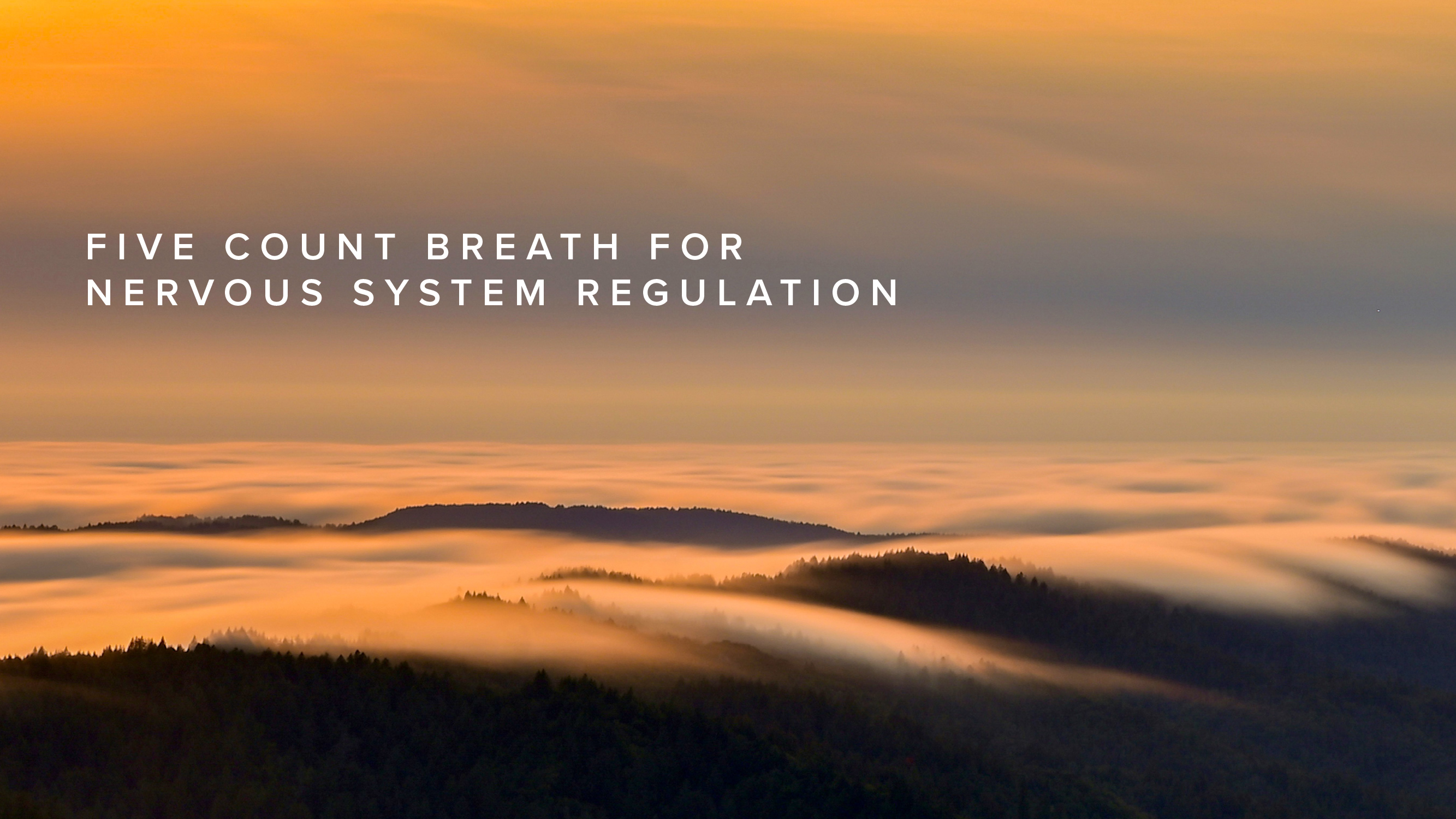 Practice - Five Count Breath for Nervous System Regulation